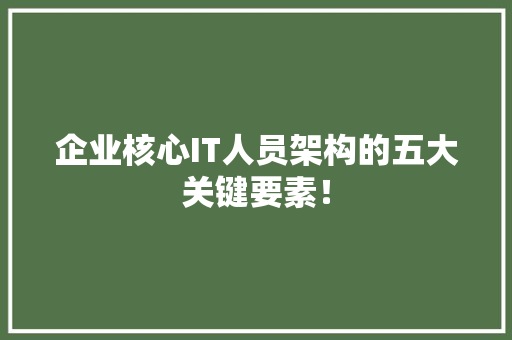 企业核心IT人员架构的五大关键要素！