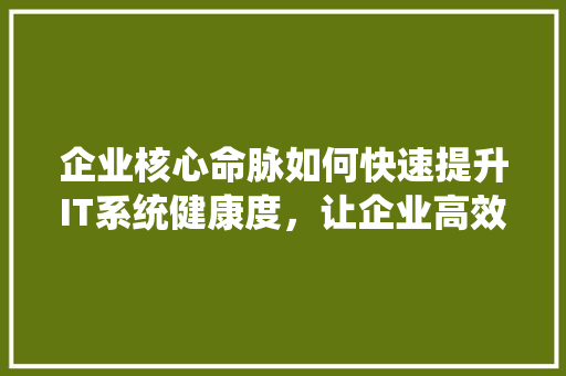 企业核心命脉如何快速提升IT系统健康度，让企业高效运转！