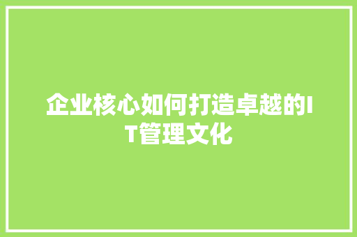企业核心如何打造卓越的IT管理文化