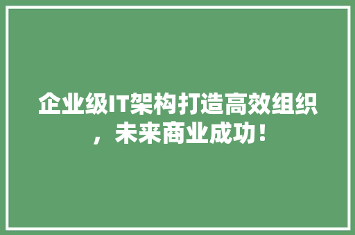 企业级IT架构打造高效组织，未来商业成功！