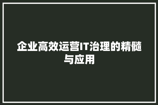 企业高效运营IT治理的精髓与应用
