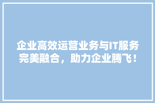 企业高效运营业务与IT服务完美融合，助力企业腾飞！