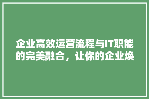 企业高效运营流程与IT职能的完美融合，让你的企业焕然一新！