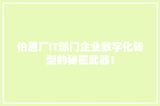 伯恩厂IT部门企业数字化转型的秘密武器！
