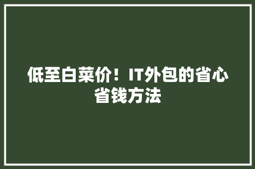 低至白菜价！IT外包的省心省钱方法 后端技术