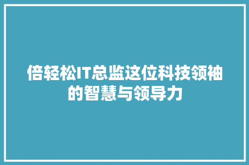 倍轻松IT总监这位科技领袖的智慧与领导力