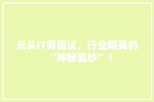 光头IT男面试，行业精英的“神秘面纱”！