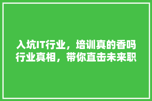 入坑IT行业，培训真的香吗行业真相，带你直击未来职业发展！