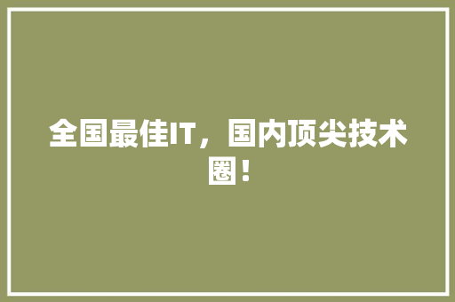 全国最佳IT，国内顶尖技术圈！