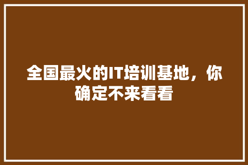全国最火的IT培训基地，你确定不来看看