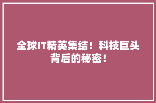 全球IT精英集结！科技巨头背后的秘密！