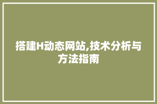 搭建H动态网站,技术分析与方法指南 响应式设计