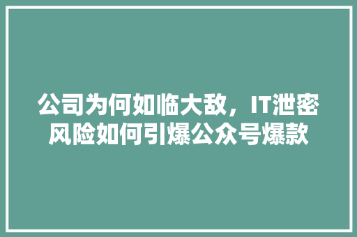 公司为何如临大敌，IT泄密风险如何引爆公众号爆款