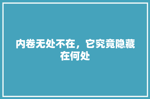 内卷无处不在，它究竟隐藏在何处