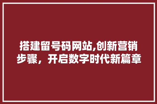 搭建留号码网站,创新营销步骤，开启数字时代新篇章