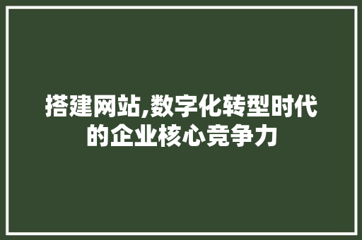 搭建网站,数字化转型时代的企业核心竞争力 后端技术