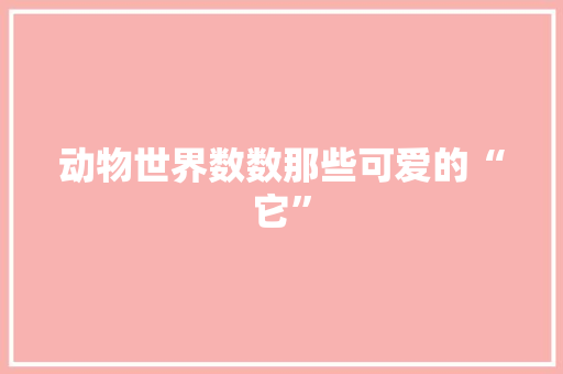 动物世界数数那些可爱的“它”