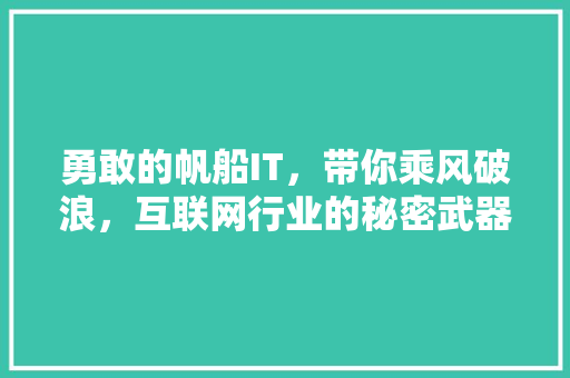 勇敢的帆船IT，带你乘风破浪，互联网行业的秘密武器！