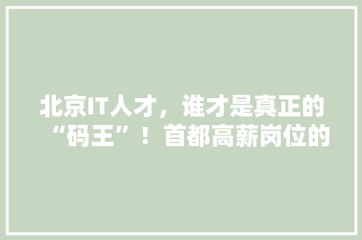 北京IT人才，谁才是真正的“码王”！首都高薪岗位的神秘面纱！ 响应式设计