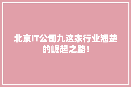 北京IT公司九这家行业翘楚的崛起之路！