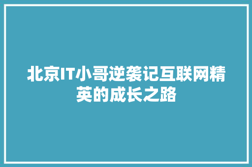 北京IT小哥逆袭记互联网精英的成长之路
