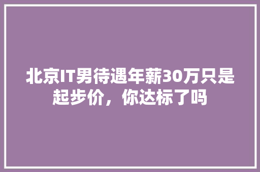 北京IT男待遇年薪30万只是起步价，你达标了吗