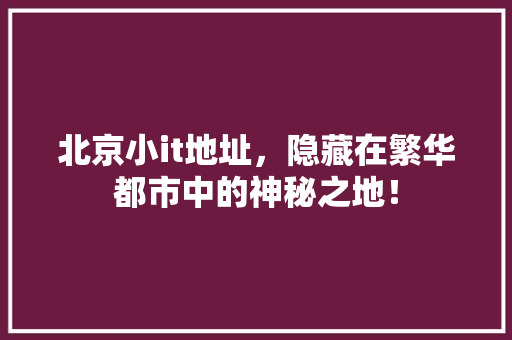 北京小it地址，隐藏在繁华都市中的神秘之地！