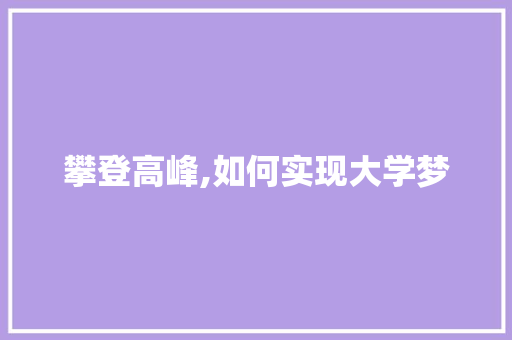 攀登高峰,如何实现大学梦