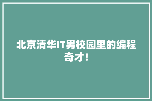 北京清华IT男校园里的编程奇才！