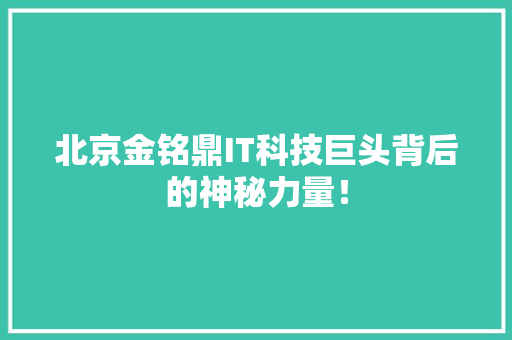 北京金铭鼎IT科技巨头背后的神秘力量！