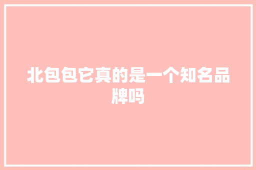北包包它真的是一个知名品牌吗