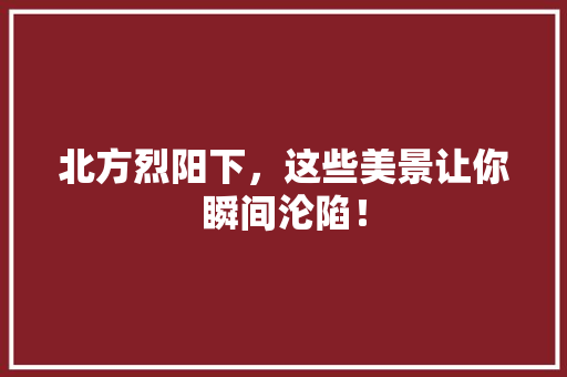 北方烈阳下，这些美景让你瞬间沦陷！