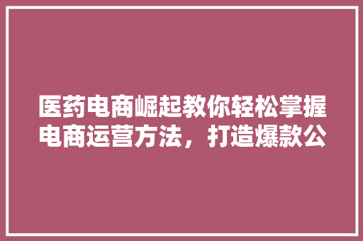 医药电商崛起教你轻松掌握电商运营方法，打造爆款公众号！ 后端技术