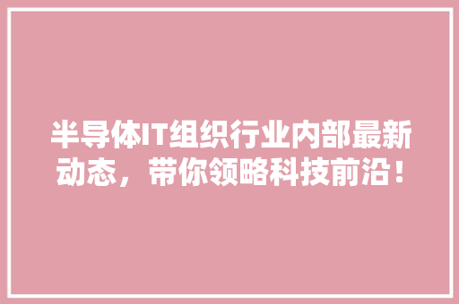 半导体IT组织行业内部最新动态，带你领略科技前沿！