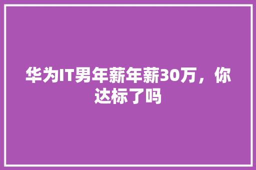 华为IT男年薪年薪30万，你达标了吗