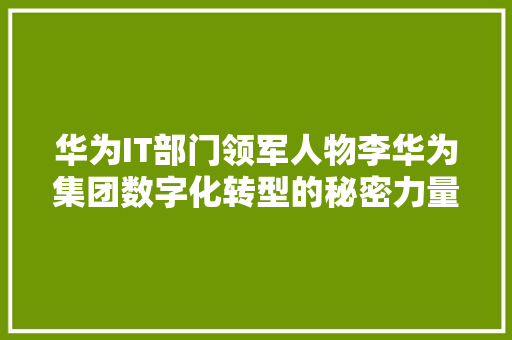 华为IT部门领军人物李华为集团数字化转型的秘密力量