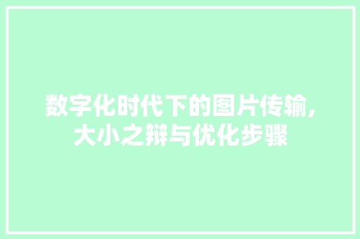 数字化时代下的图片传输,大小之辩与优化步骤