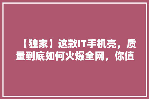 【独家】这款IT手机壳，质量到底如何火爆全网，你值得拥有！
