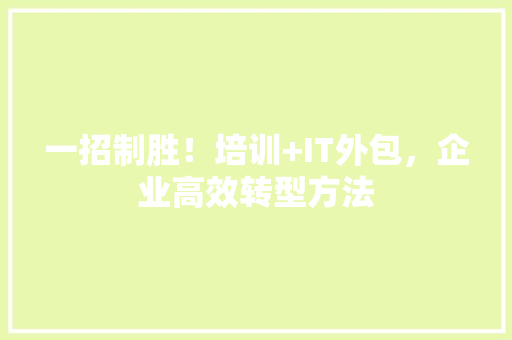 一招制胜！培训+IT外包，企业高效转型方法 项目报告