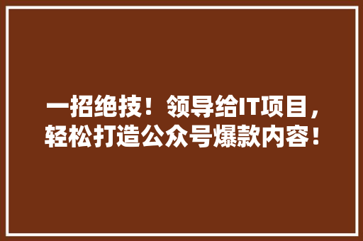 一招绝技！领导给IT项目，轻松打造公众号爆款内容！ 网站建设