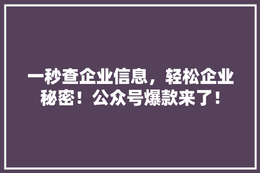 一秒查企业信息，轻松企业秘密！公众号爆款来了！ MySQL
