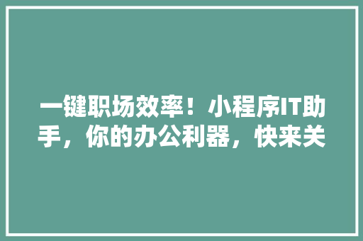 一键职场效率！小程序IT助手，你的办公利器，快来关注体验