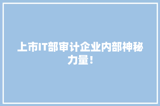 上市IT部审计企业内部神秘力量！ 市场营销范文