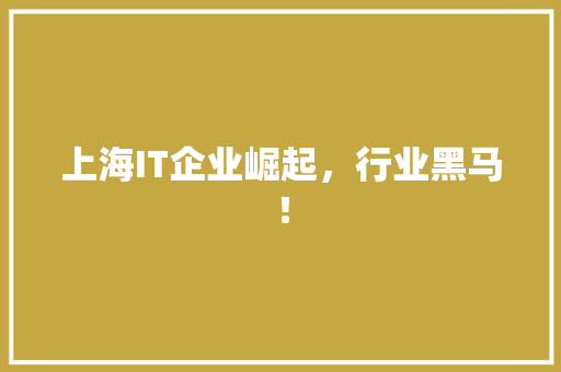 上海IT企业崛起，行业黑马！ 网站建设
