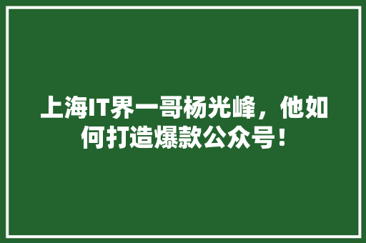 上海IT界一哥杨光峰，他如何打造爆款公众号！ 后端技术