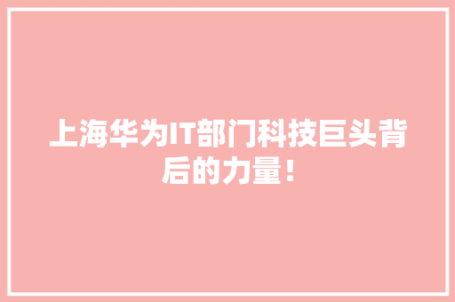 上海华为IT部门科技巨头背后的力量！ 项目报告