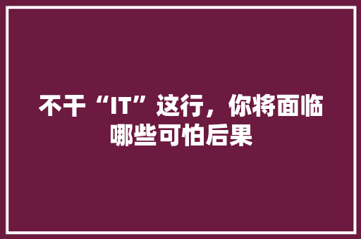 不干“IT”这行，你将面临哪些可怕后果