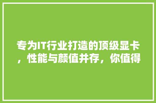 专为IT行业打造的顶级显卡，性能与颜值并存，你值得拥有！