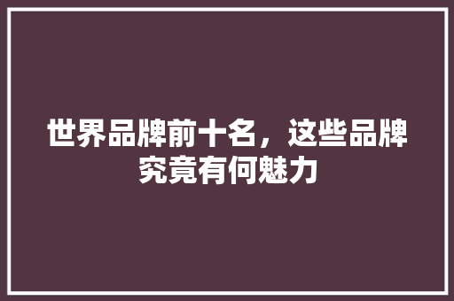 世界品牌前十名，这些品牌究竟有何魅力