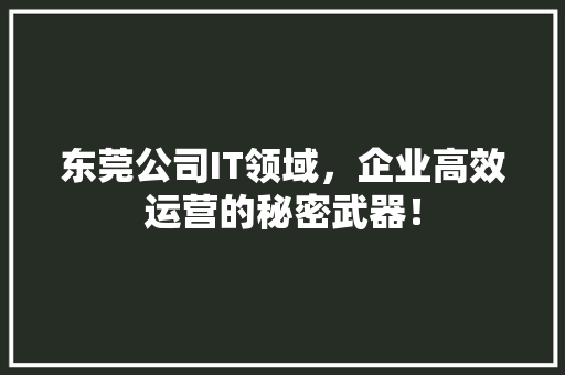 东莞公司IT领域，企业高效运营的秘密武器！ 项目报告